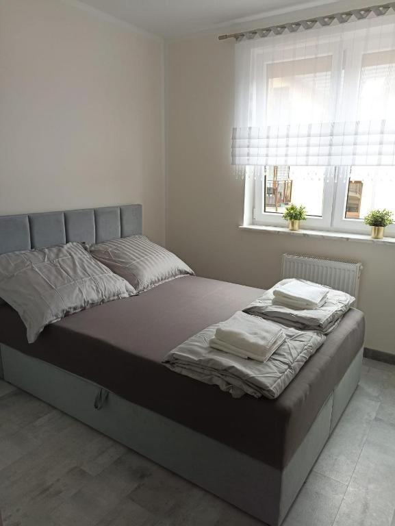 Apartament Brzeg Eksteriør billede
